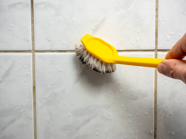  Wenatchee, WA Mold Removal Pros