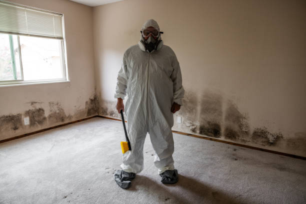 Best Mold Removal Process  in Wenatchee, WA